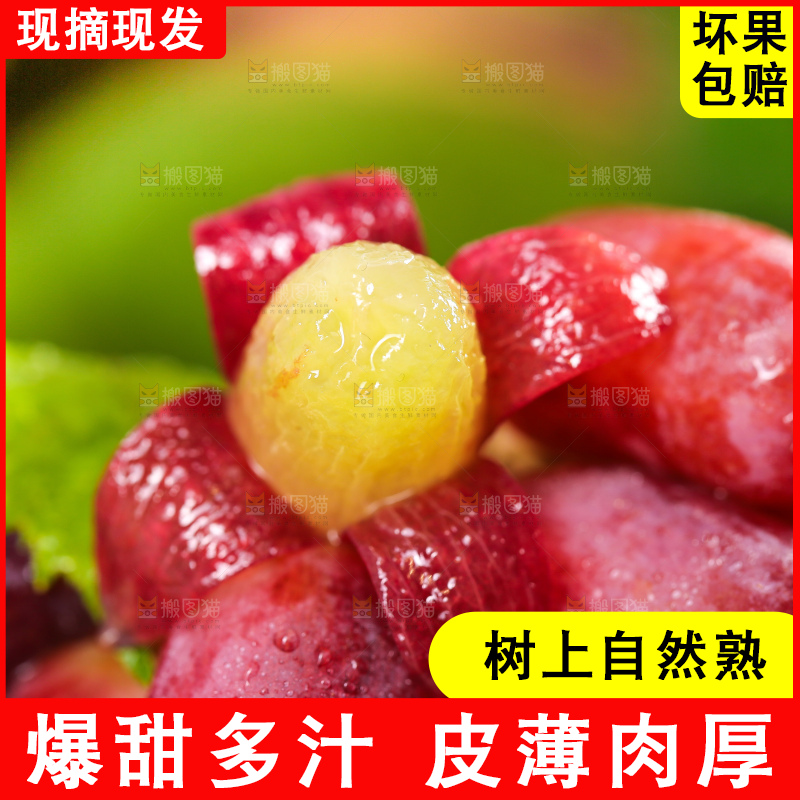 黑石垫上面放着剥皮的美人指葡萄