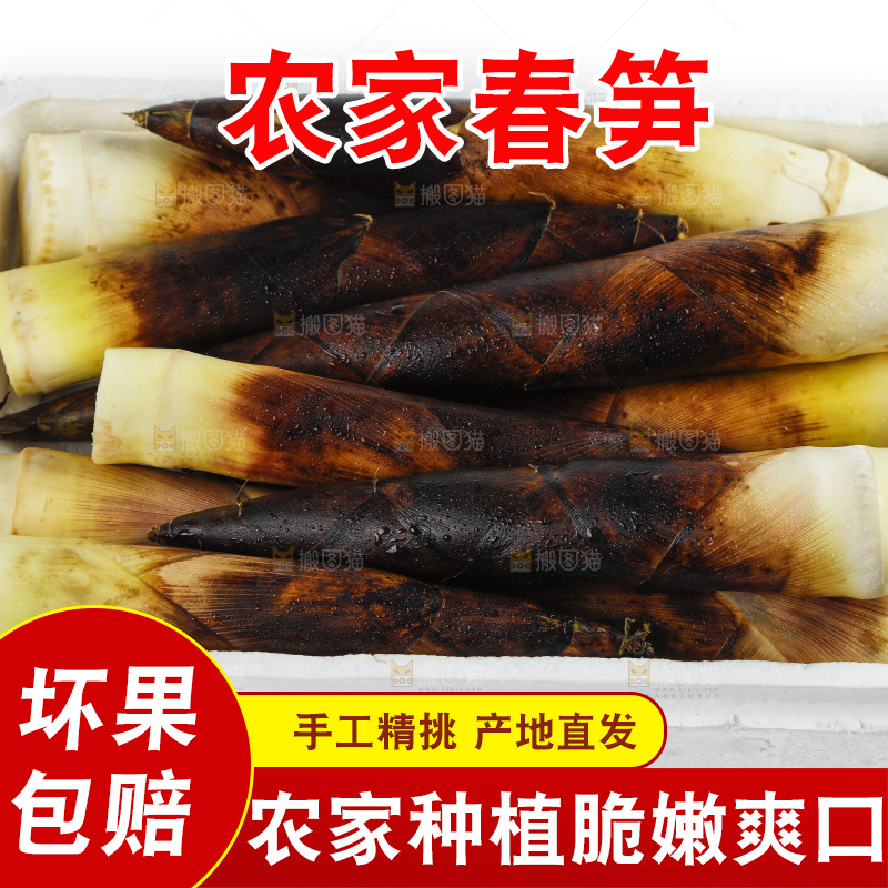 白底上放着一箱新鲜的春笋