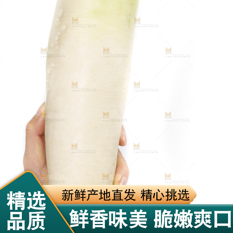 手里拿着萝卜