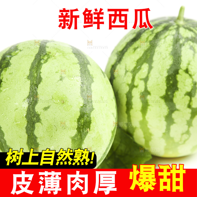 白底上放着海南新鲜西瓜