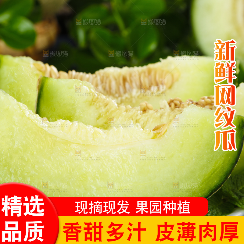深底上放着切开的山东网纹蜜瓜