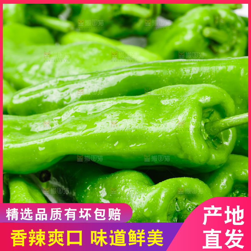 一堆新鲜的青辣椒