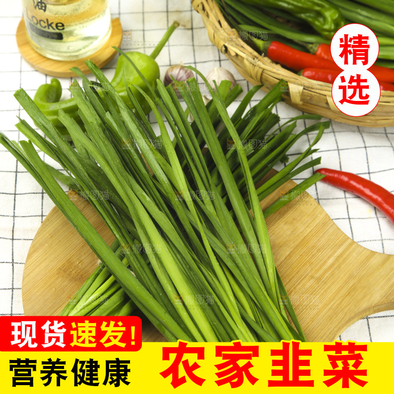 格子底上的鲜嫩韭菜