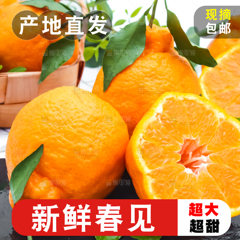 黑石板上放着切开的四川春见柑桔