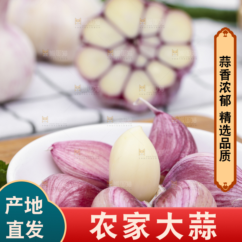 浅底上放着新鲜山东紫皮大蒜头
