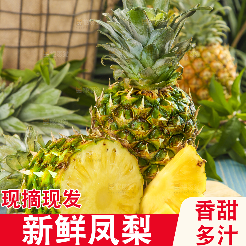 白石板上放着海南金钻凤梨