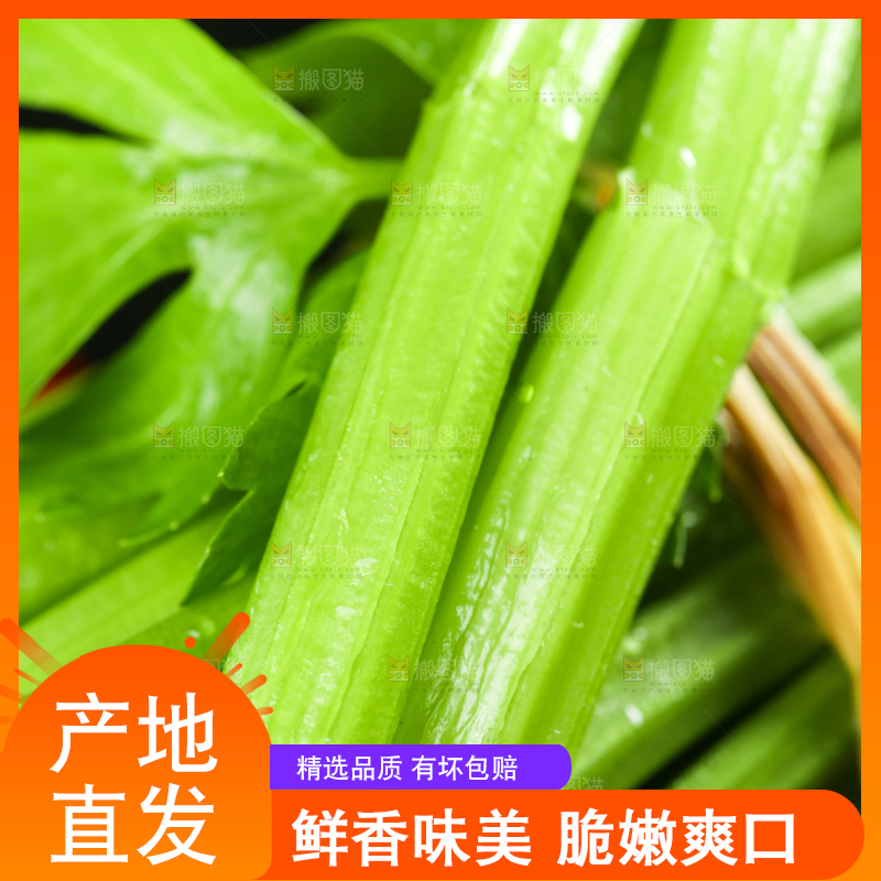 木底上堆放着芹菜