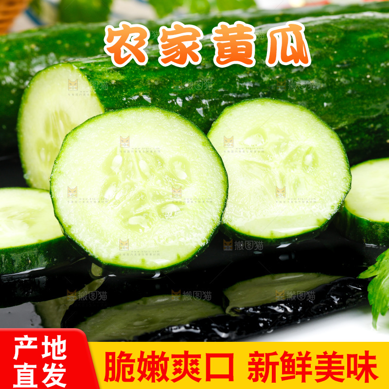 白底上放着黄瓜