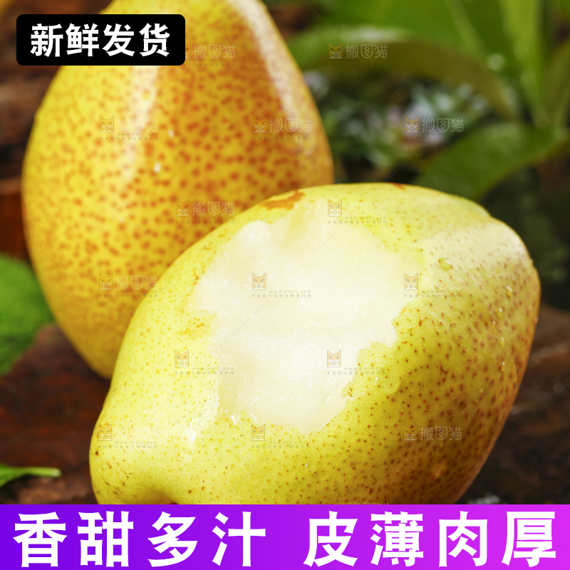 木底上放着陕西红香酥梨