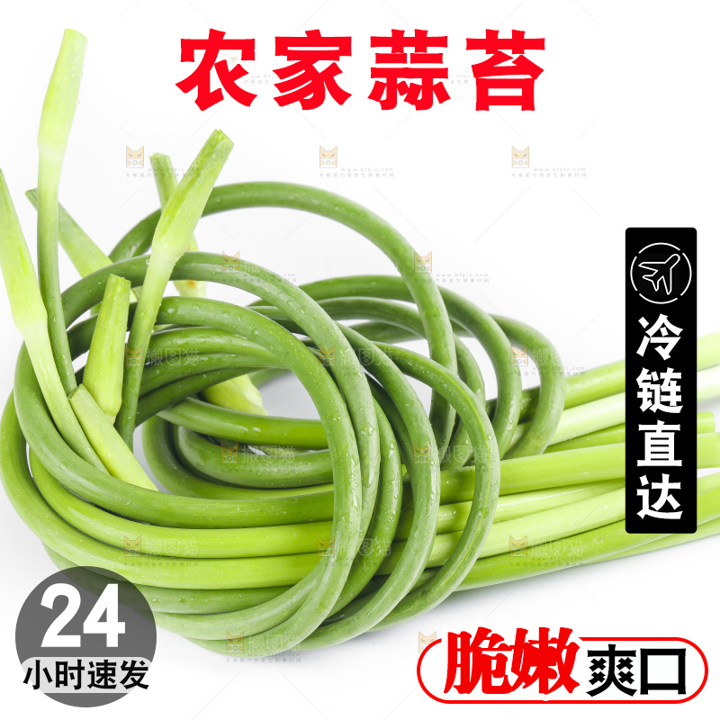 白底上摆放着蒜苔