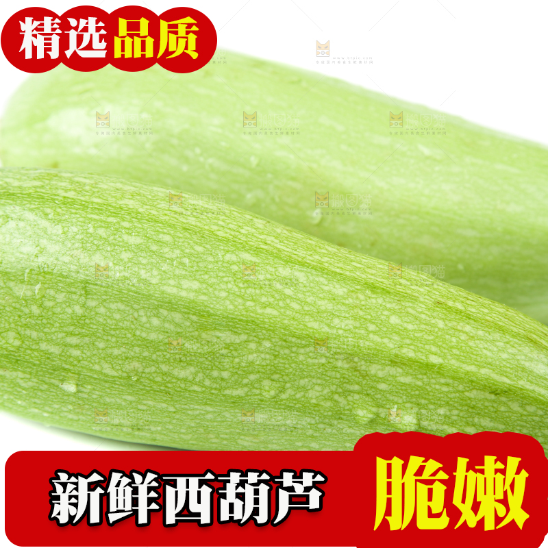 白底上摆放着茭瓜
