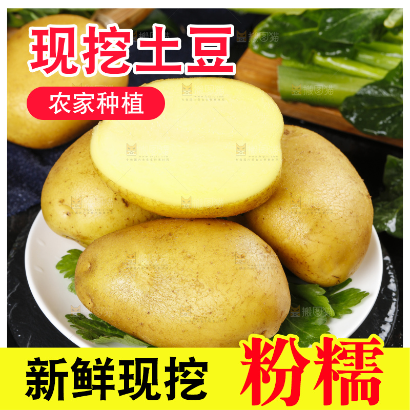 大土豆主图