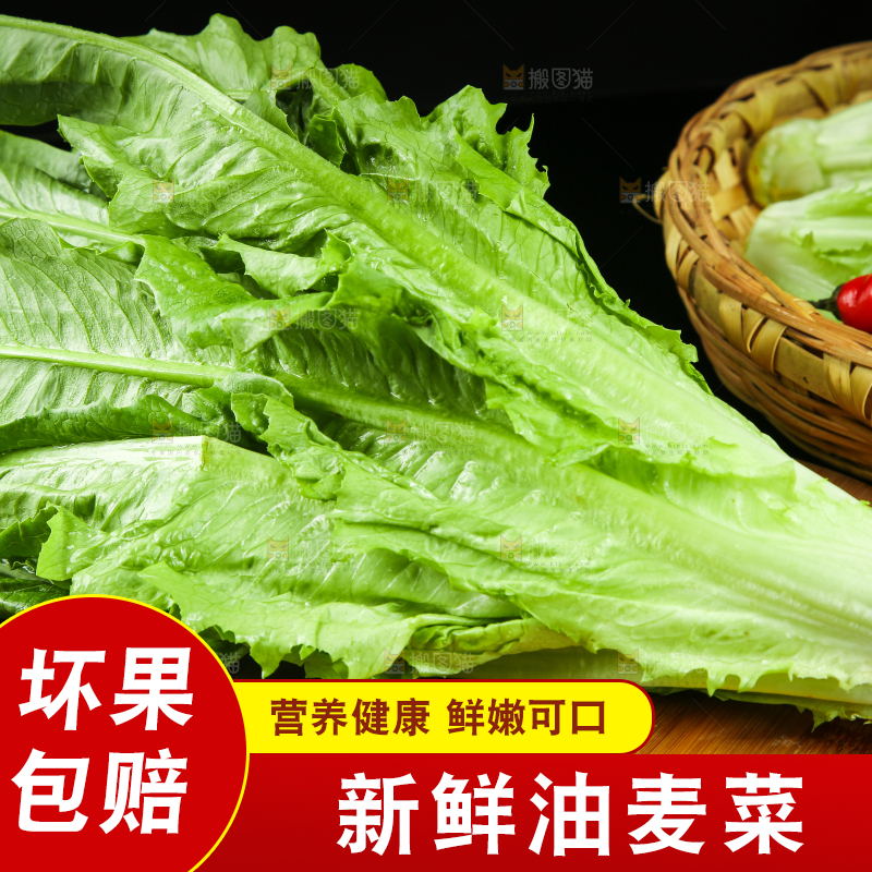 篮子里装着油麦菜