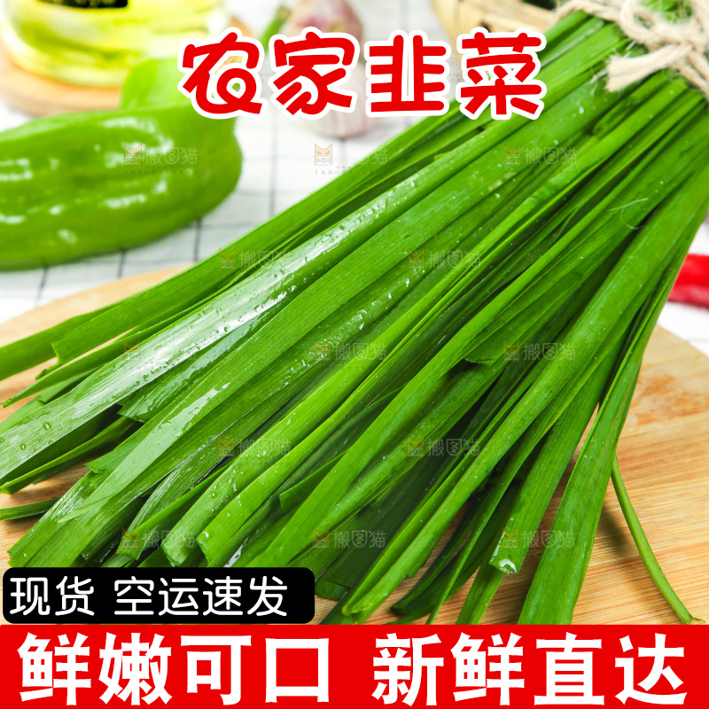 格子底上的鲜嫩韭菜
