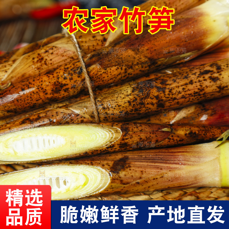 竹垫上放着切开的竹笋
