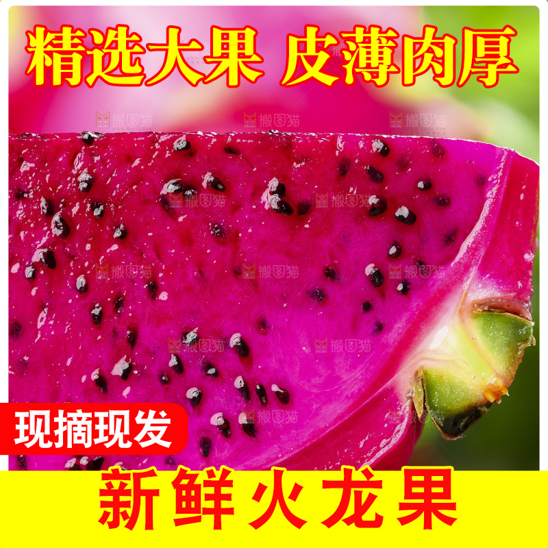 手拿着新鲜火龙果果肉