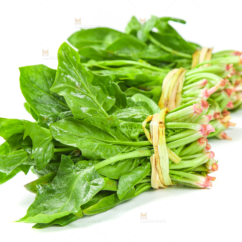 白底上放着新鲜菠菜