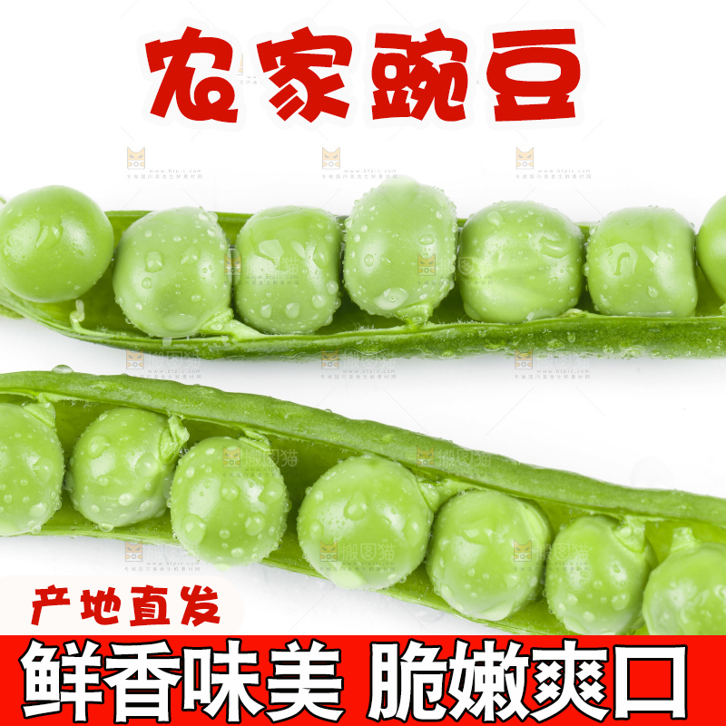 白底上放着豌豆荚