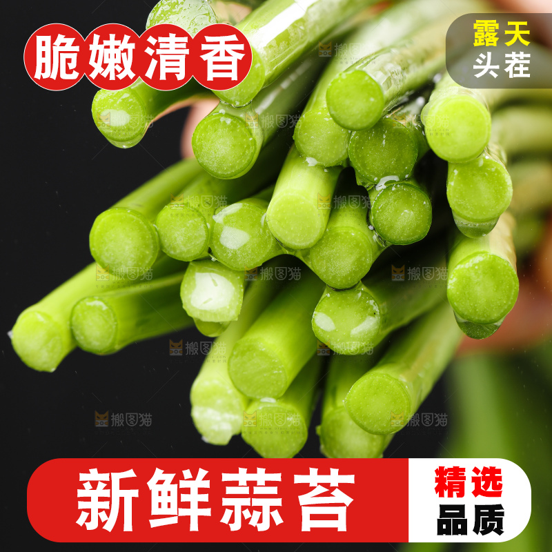 手里拿着一把嫩蒜苔