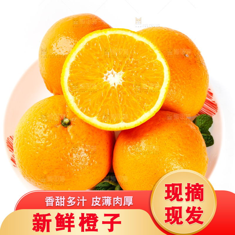 白底上放着新鲜橙子