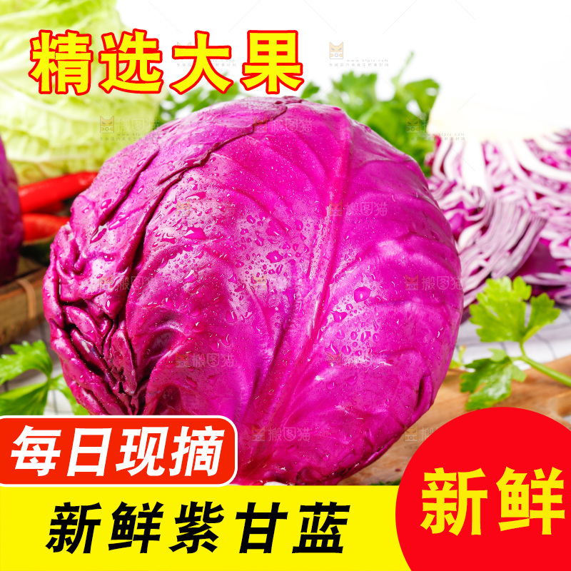 格子底上放着甘蓝