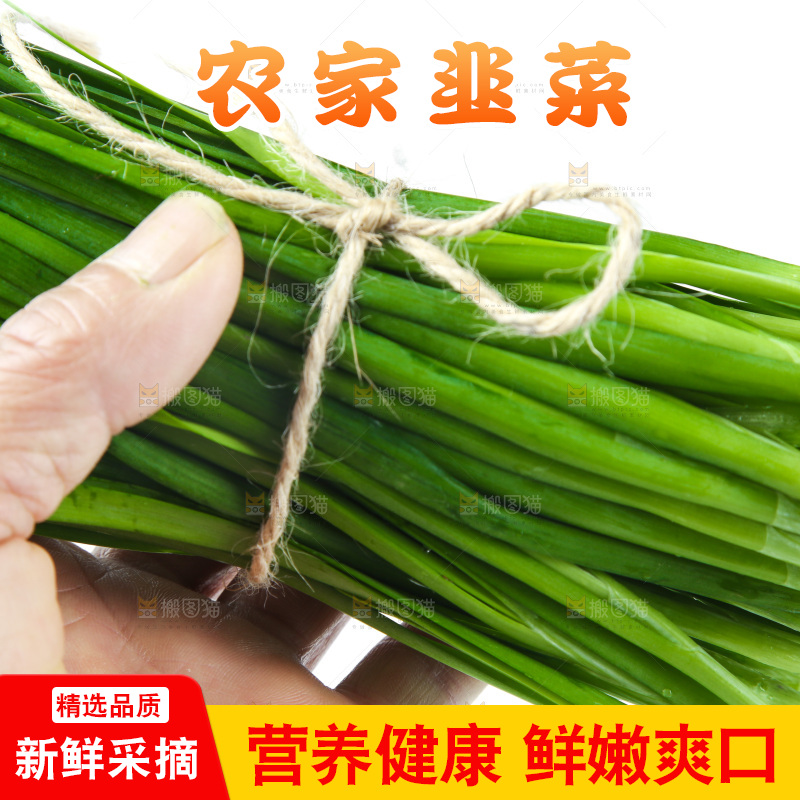 白底上放着新鲜韭菜