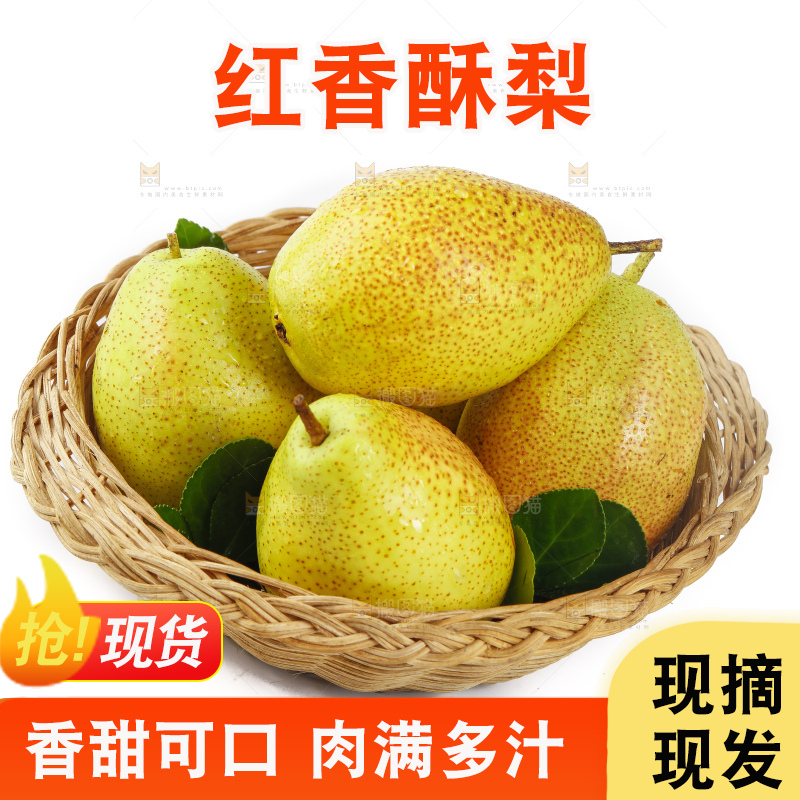 一筐陕西红香酥梨放在白底上