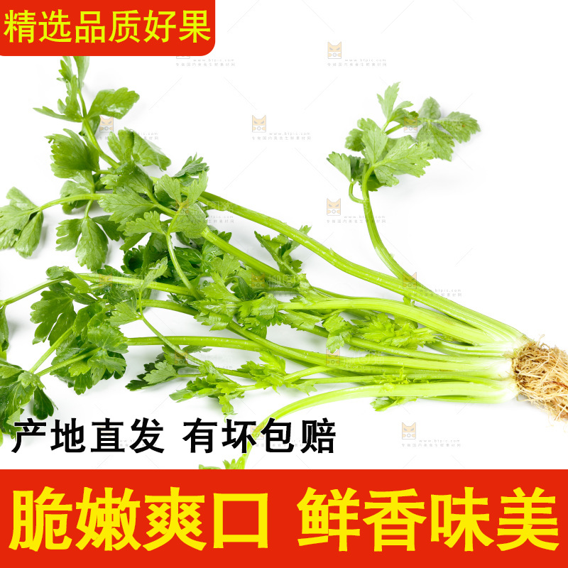 白底上放着芹菜