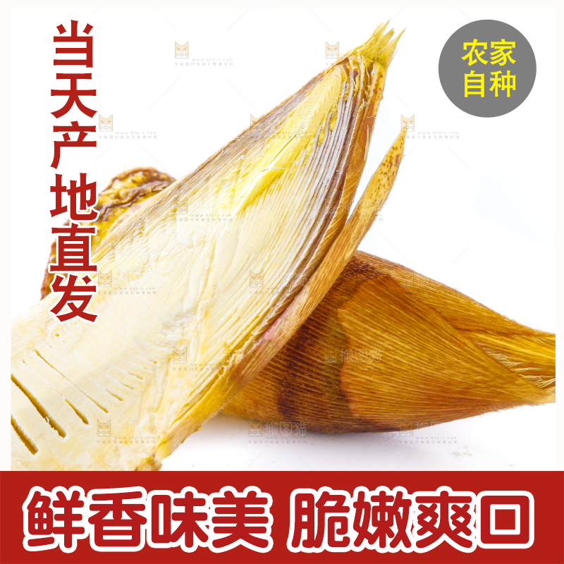 白底上摆放着冬笋