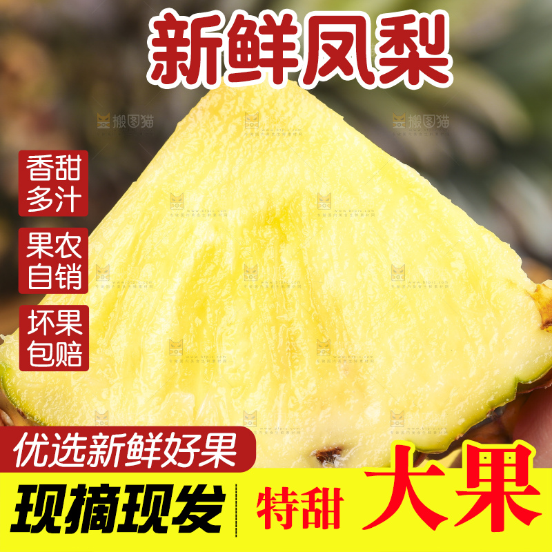 手拿切开的海南金钻凤梨