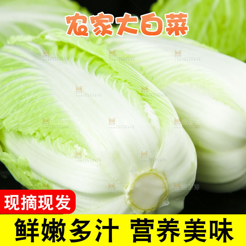 黑底上的有机大白菜
