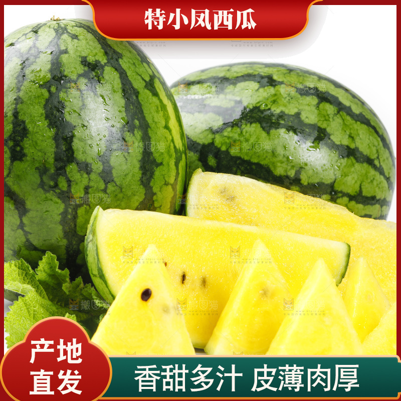 切开的特小凤黄肉西瓜放在白底上