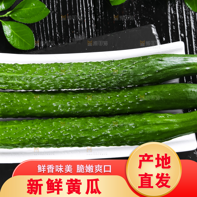 一盘新鲜土黄瓜放在黑底上