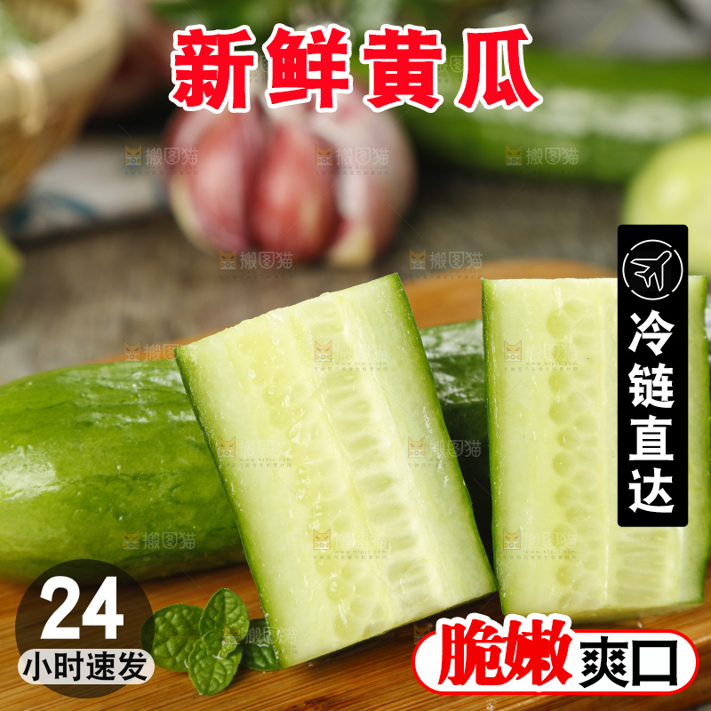 新鲜的山东水果黄瓜放在木板上