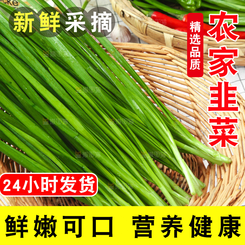 格子底上的鲜嫩韭菜