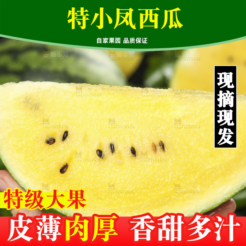 手拿切开的黄心西瓜