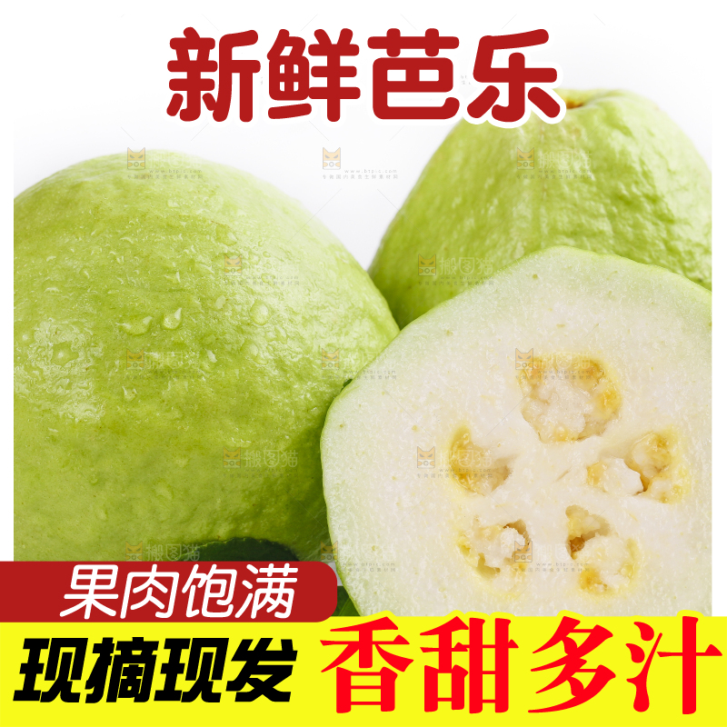 白底上的广西白心芭乐