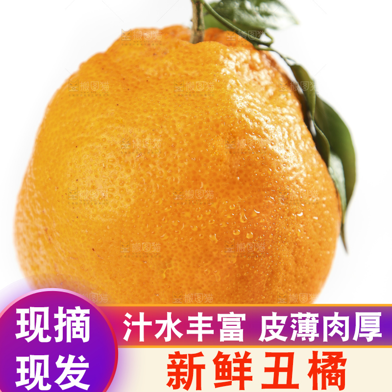 手拿新鲜丑橘