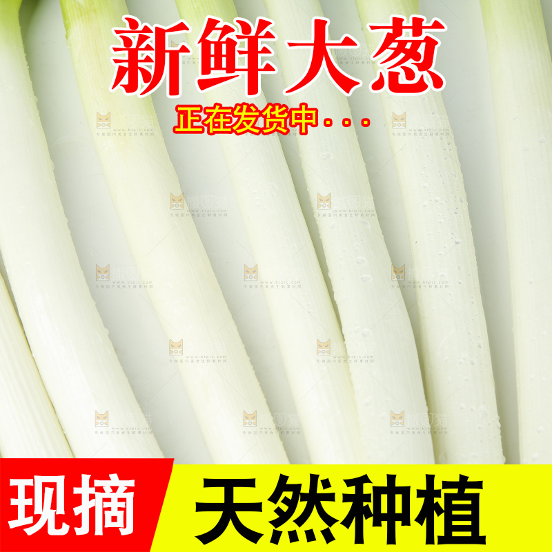 白底上放着一把大葱
