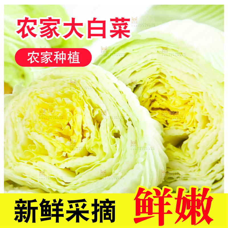 木底上放着大白菜