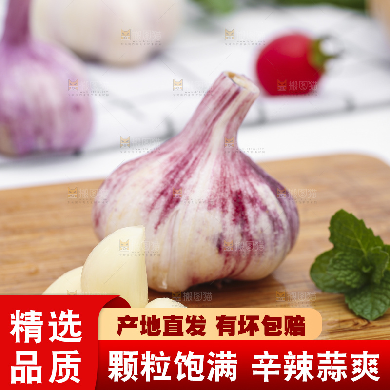 浅底上放着新鲜山东紫皮大蒜头