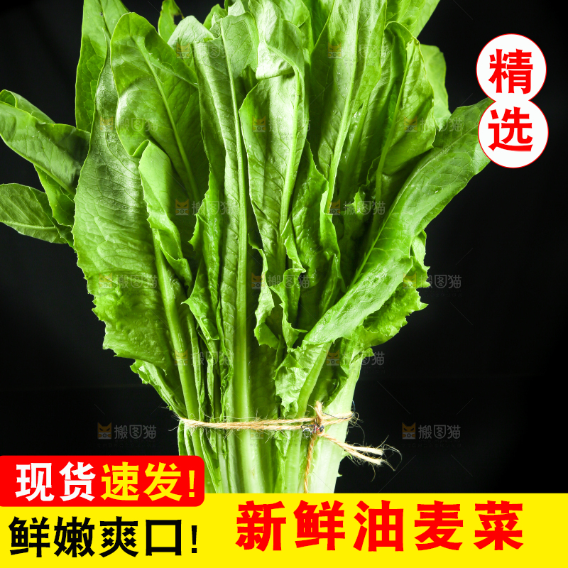 黑底上的油麦菜