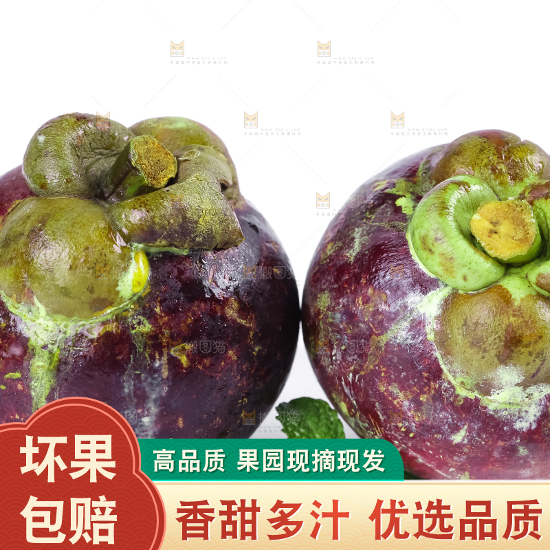 新鲜的泰国进口山竹放在白底上