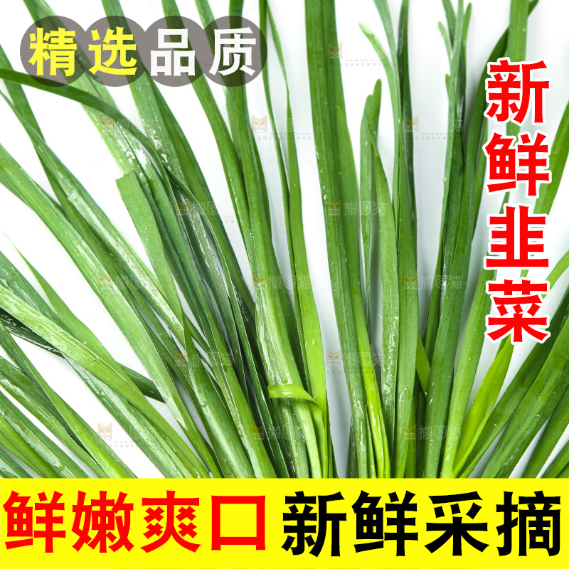 白底上的一把韭菜