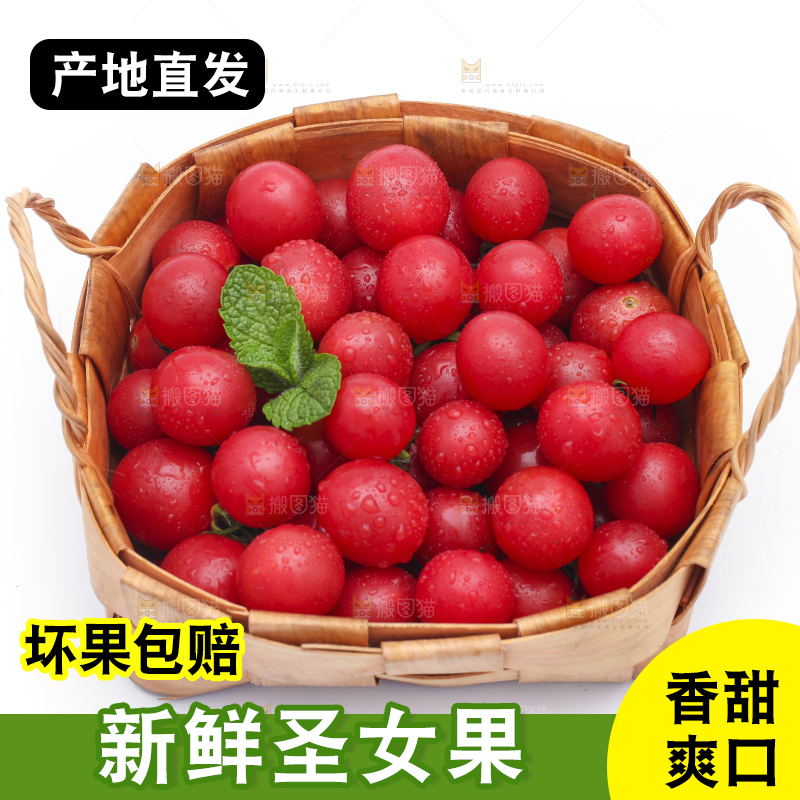 白底上放着一筐新鲜小番茄