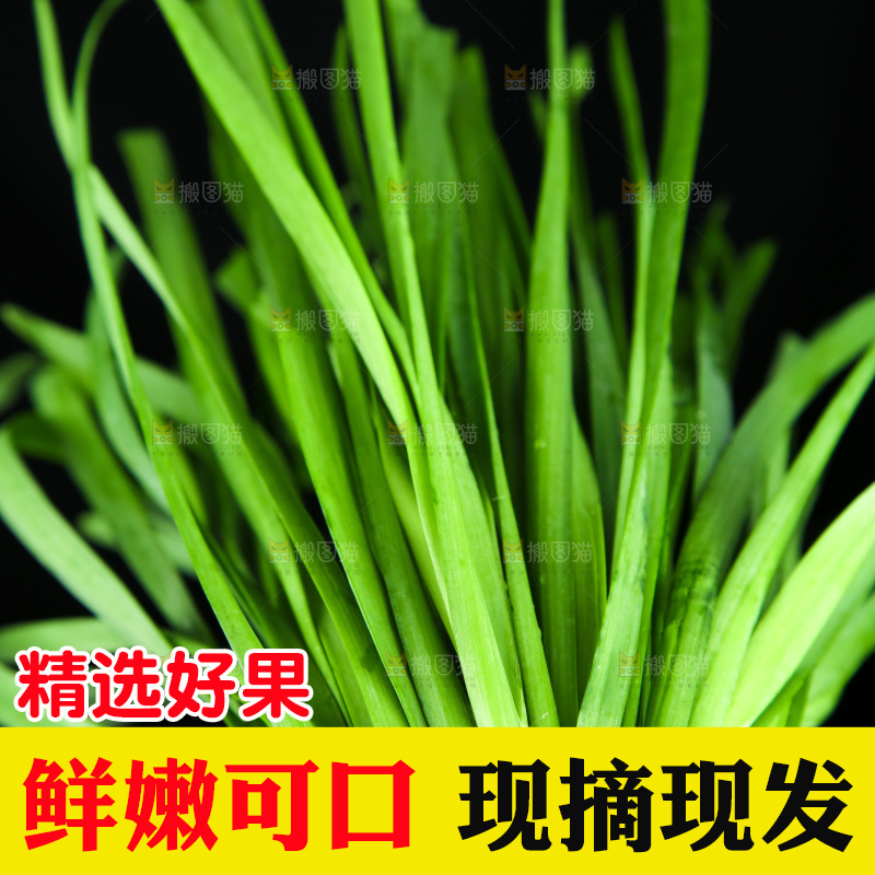 黑底上堆放着韭菜