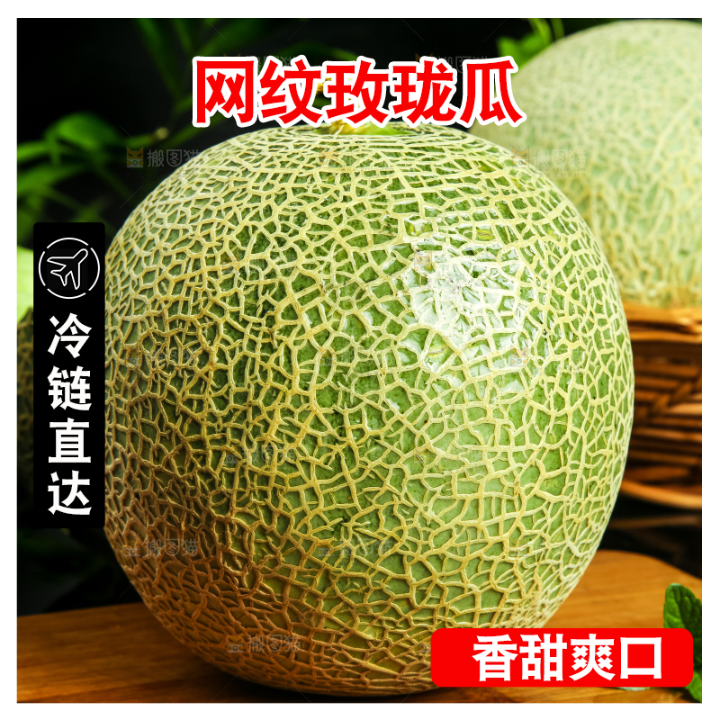 深底上放着山东新鲜玫珑蜜瓜