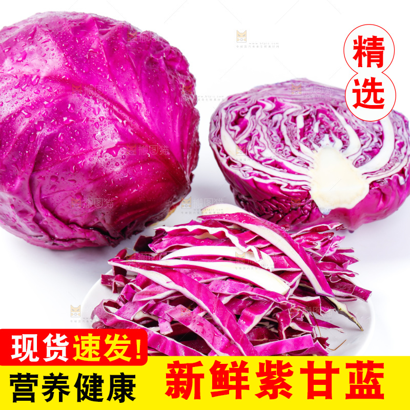 白底上放着新鲜紫甘蓝