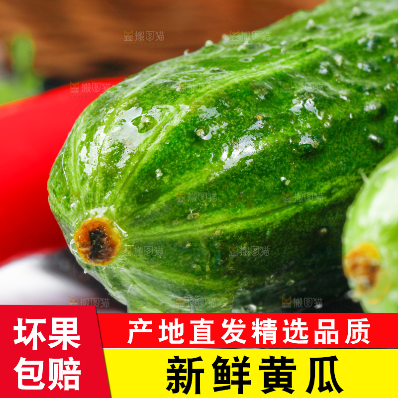 白底上放着黄瓜
