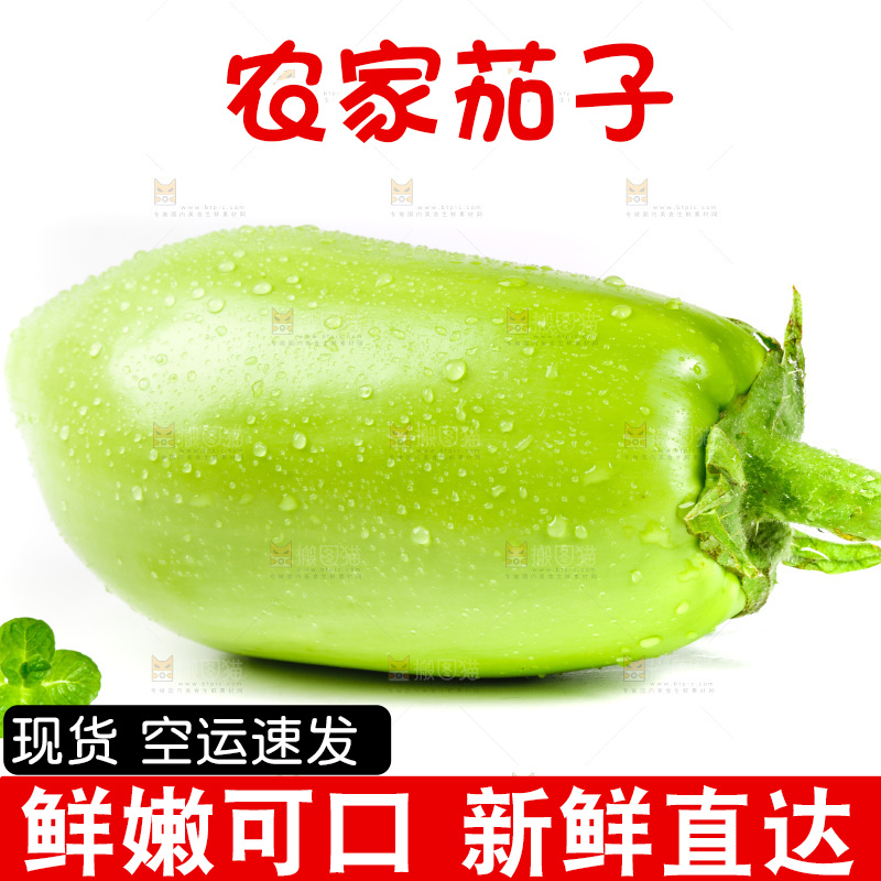 白底上放着青茄子